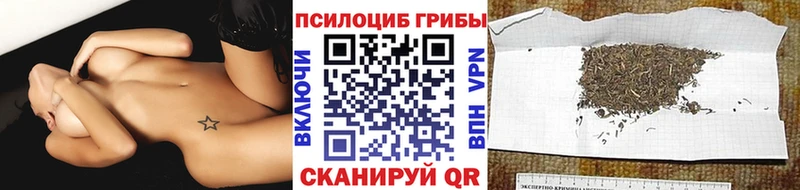 Галлюциногенные грибы Psilocybine cubensis  Михайлов 